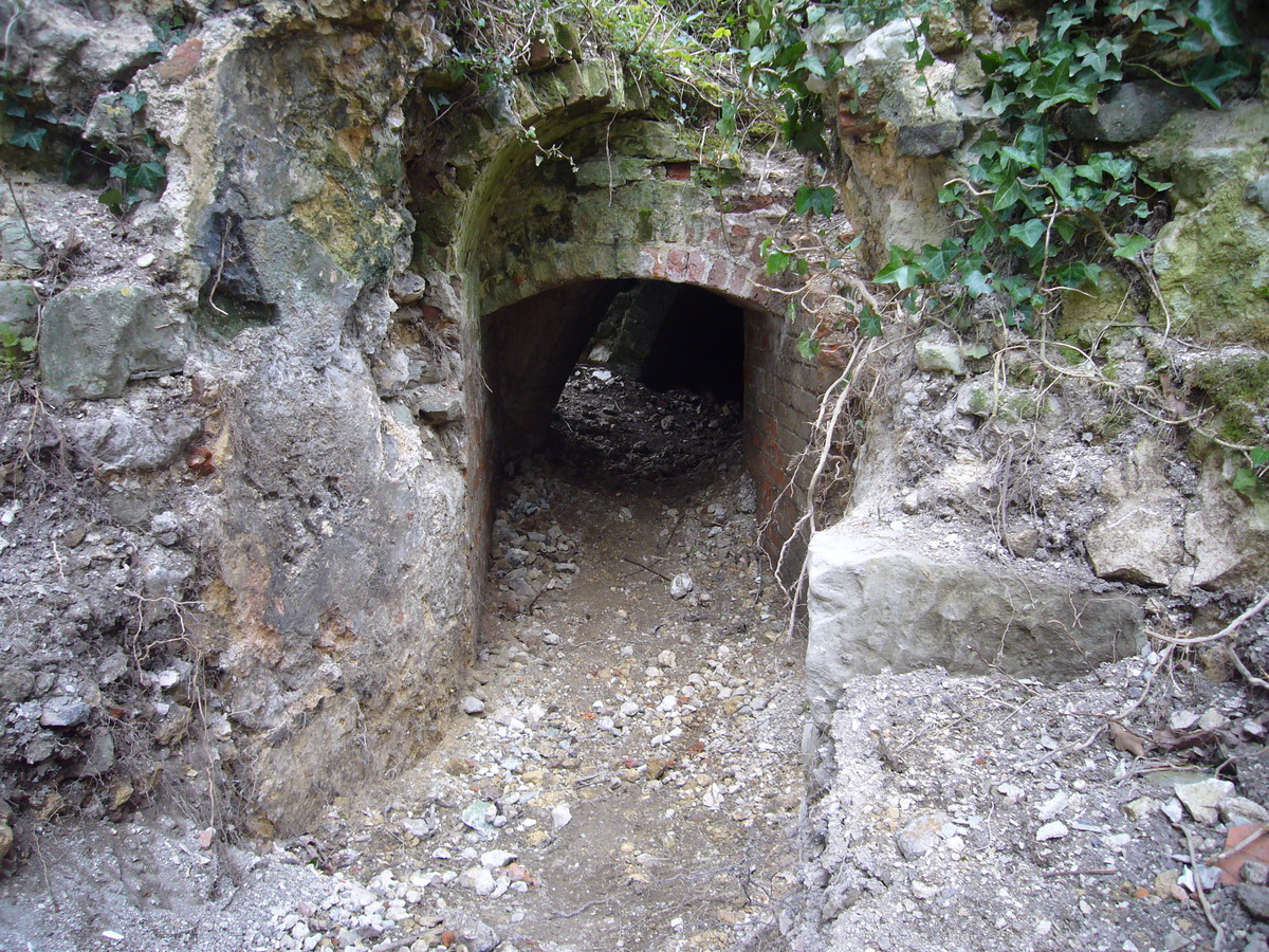 Cellar Excavation (6/3/13)